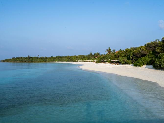 Hotel The Barefoot Eco