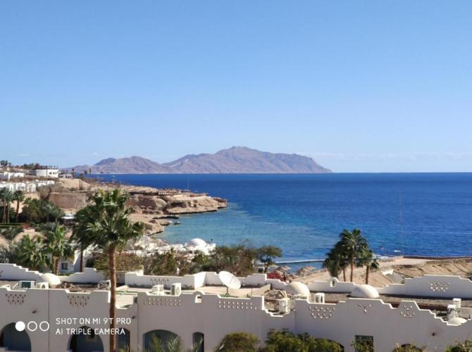 Domina Coral Bay Harem