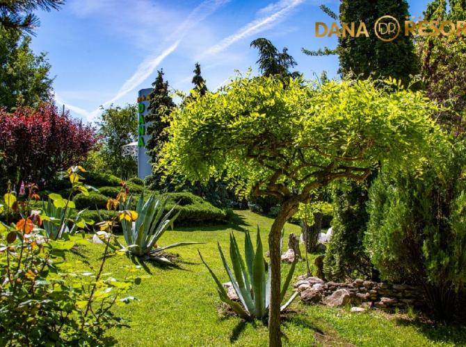 Dana Resort cm 