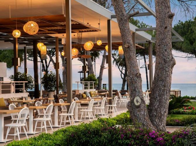 ACANTHUS CENNET BARUT COLLECTION