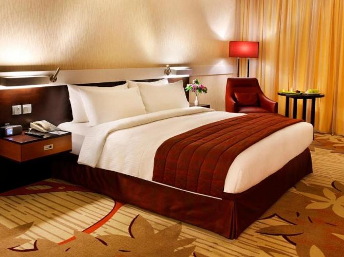 Vision Imperial Hotel (ex Excelsior Hotel Downtown)