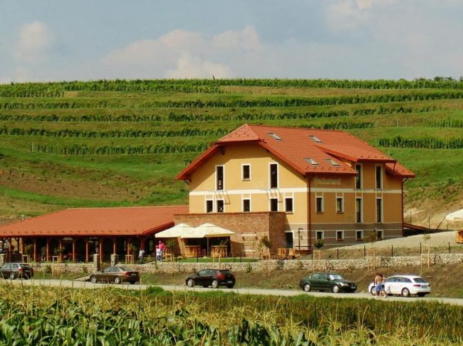 Pensiunea Sarea-n Bucate