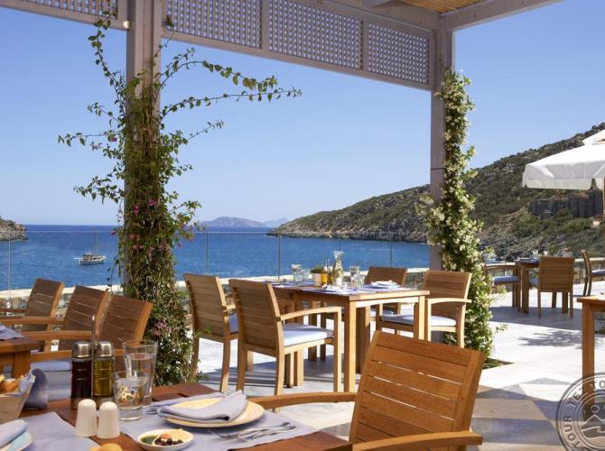 DAIOS COVE